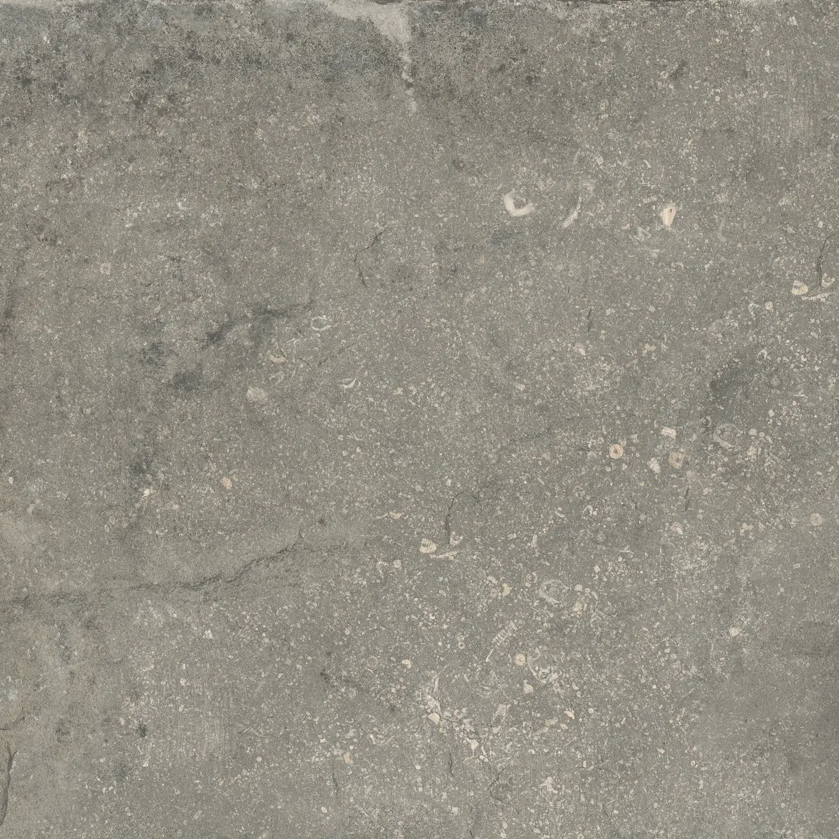 Cerámico Marmolizado Gravity 60x60cms de 1.44m2 Cerámico Marmolizado Gravity 60x60cms de 1.44m2